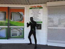 Black Panther at Crawley Blinds